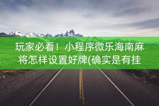 玩家必看！小程序微乐海南麻将怎样设置好牌(确实是有挂)