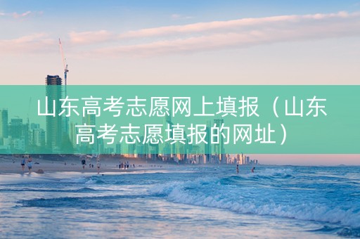 山东高考志愿网上填报（山东高考志愿填报的网址）
