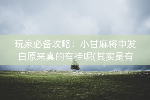 玩家必备攻略！小甘麻将中发白原来真的有挂呢(其实是有挂确实有挂)