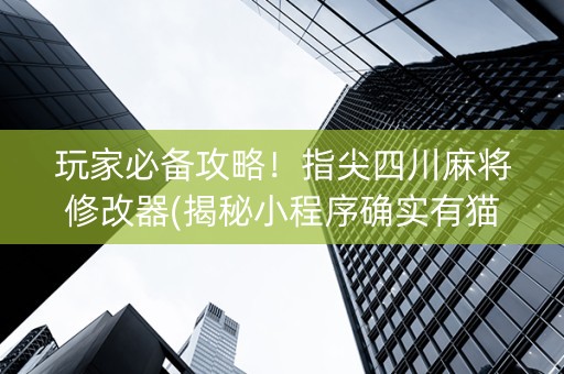 玩家必备攻略！指尖四川麻将修改器(揭秘小程序确实有猫腻)