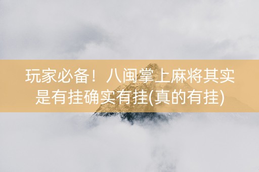 玩家必备！八闽掌上麻将其实是有挂确实有挂(真的有挂)
