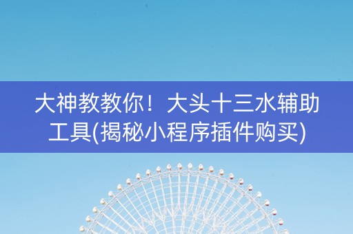 大神教教你！大头十三水辅助工具(揭秘小程序插件购买)