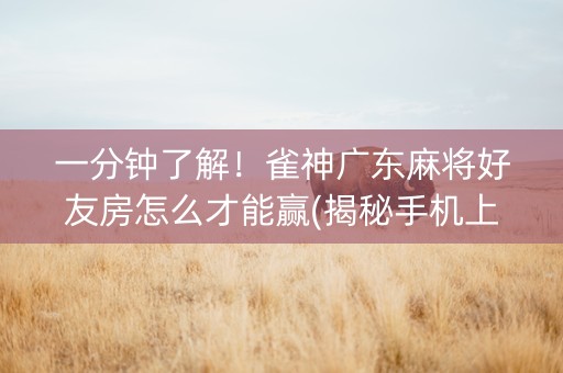 一分钟了解！雀神广东麻将好友房怎么才能赢(揭秘手机上提高胜率)