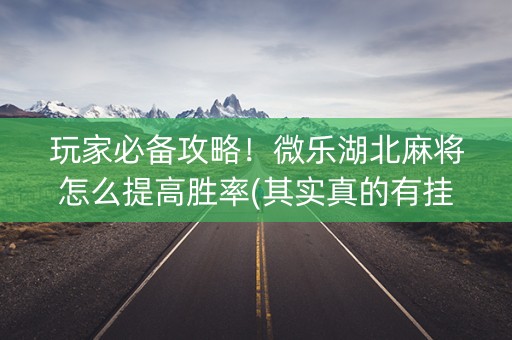 玩家必备攻略！微乐湖北麻将怎么提高胜率(其实真的有挂)