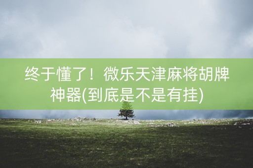终于懂了！微乐天津麻将胡牌神器(到底是不是有挂)
