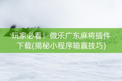 玩家必看！微乐广东麻将插件下载(揭秘小程序输赢技巧)