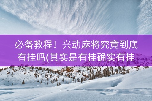 必备教程！兴动麻将究竟到底有挂吗(其实是有挂确实有挂)