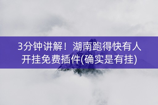 3分钟讲解！湖南跑得快有人开挂免费插件(确实是有挂)