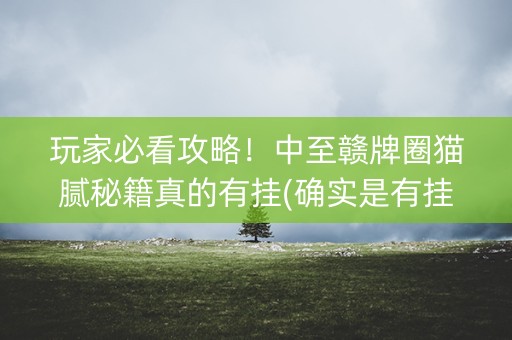 玩家必看攻略！中至赣牌圈猫腻秘籍真的有挂(确实是有挂的)