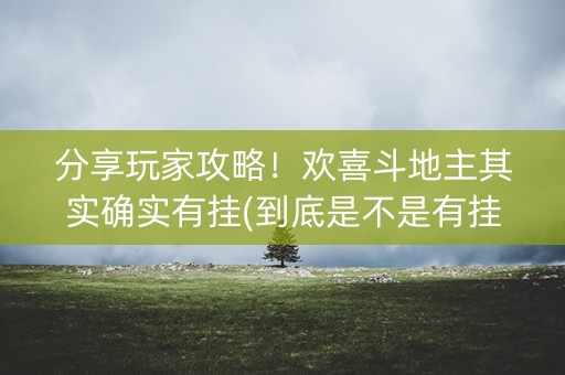 分享玩家攻略！欢喜斗地主其实确实有挂(到底是不是有挂)