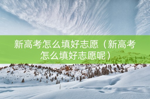 新高考怎么填好志愿（新高考怎么填好志愿呢）