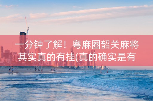 一分钟了解！粤麻圈韶关麻将其实真的有挂(真的确实是有挂)