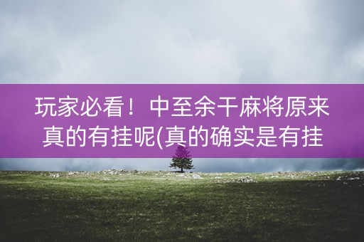 玩家必看！中至余干麻将原来真的有挂呢(真的确实是有挂)