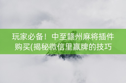 玩家必备！中至赣州麻将插件购买(揭秘微信里赢牌的技巧)