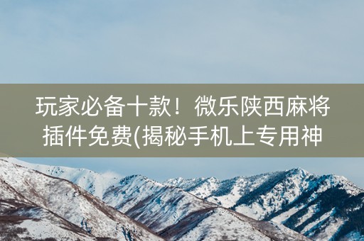 玩家必备十款！微乐陕西麻将插件免费(揭秘手机上专用神器)