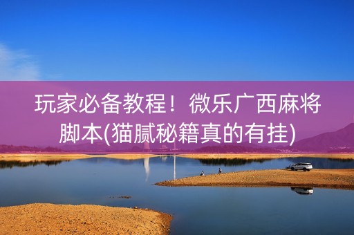 玩家必备教程！微乐广西麻将脚本(猫腻秘籍真的有挂)