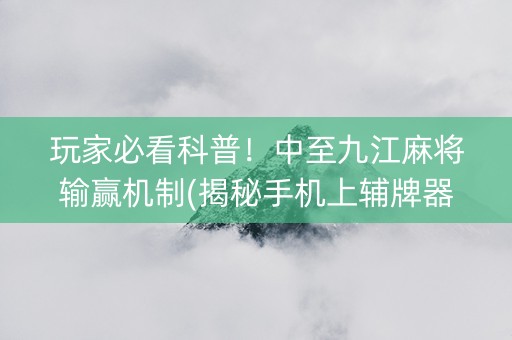 玩家必看科普！中至九江麻将输赢机制(揭秘手机上辅牌器)