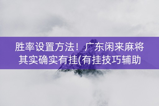 胜率设置方法！广东闲来麻将其实确实有挂(有挂技巧辅助器)