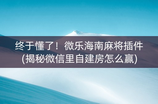 终于懂了！微乐海南麻将插件(揭秘微信里自建房怎么赢)