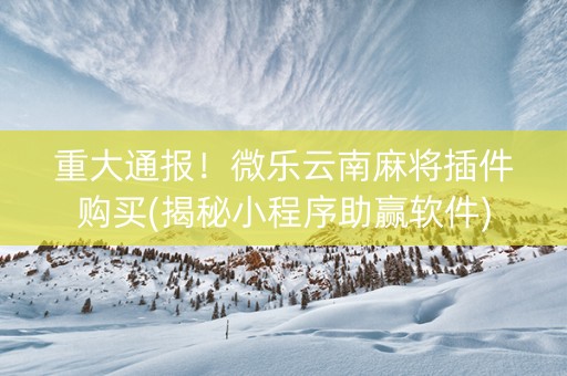 重大通报！微乐云南麻将插件购买(揭秘小程序助赢软件)