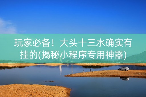 玩家必备！大头十三水确实有挂的(揭秘小程序专用神器)