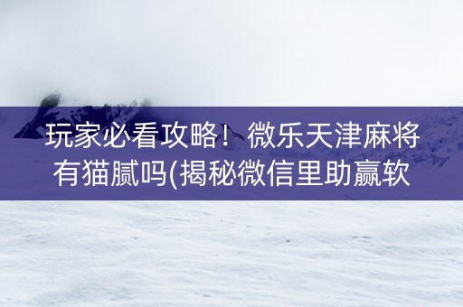 玩家必看攻略！微乐天津麻将有猫腻吗(揭秘微信里助赢软件)