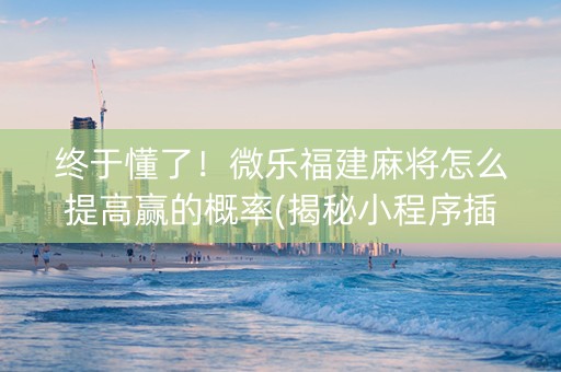 终于懂了！微乐福建麻将怎么提高赢的概率(揭秘小程序插件下载)