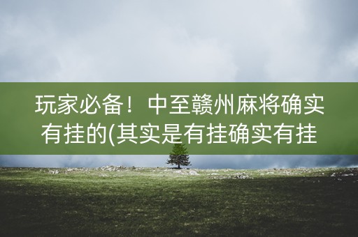 玩家必备！中至赣州麻将确实有挂的(其实是有挂确实有挂)