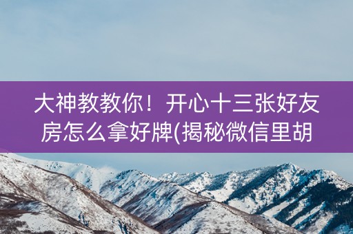 大神教教你！开心十三张好友房怎么拿好牌(揭秘微信里胡牌神器)