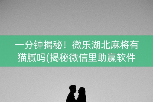 一分钟揭秘！微乐湖北麻将有猫腻吗(揭秘微信里助赢软件)