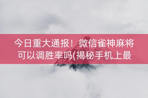 今日重大通报！微信雀神麻将可以调胜率吗(揭秘手机上最新神器下载)