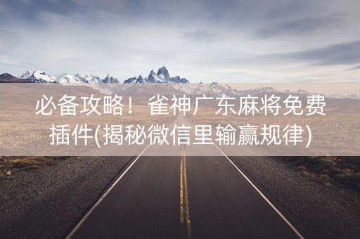 必备攻略！雀神广东麻将免费插件(揭秘微信里输赢规律)