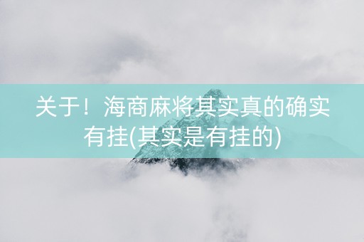 关于！海商麻将其实真的确实有挂(其实是有挂的)
