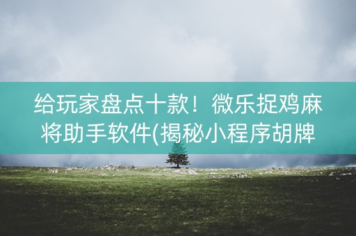 给玩家盘点十款！微乐捉鸡麻将助手软件(揭秘小程序胡牌神器)