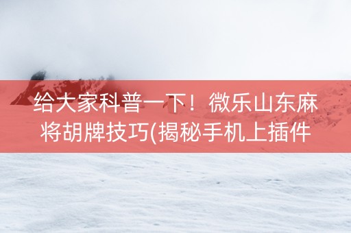 给大家科普一下！微乐山东麻将胡牌技巧(揭秘手机上插件下载)