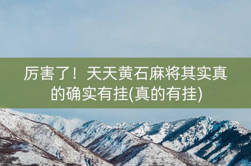 厉害了！天天黄石麻将其实真的确实有挂(真的有挂)
