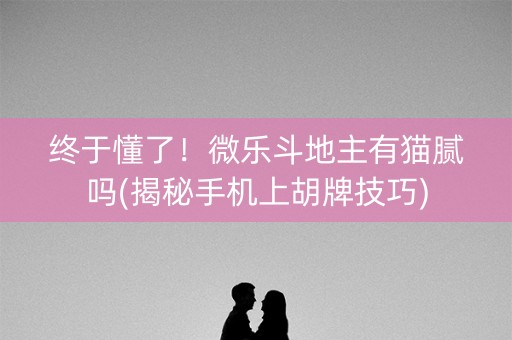 终于懂了！微乐斗地主有猫腻吗(揭秘手机上胡牌技巧)