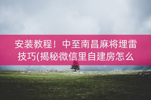 安装教程！中至南昌麻将埋雷技巧(揭秘微信里自建房怎么赢)