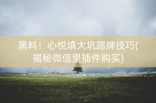 黑料！心悦填大坑踢牌技巧(揭秘微信里插件购买)