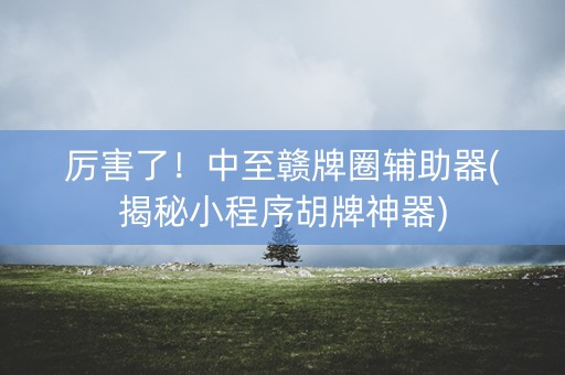 厉害了！中至赣牌圈辅助器(揭秘小程序胡牌神器)