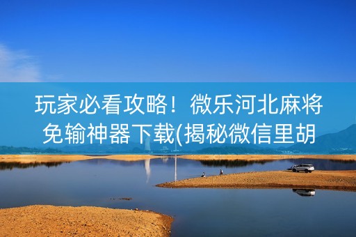 玩家必看攻略！微乐河北麻将免输神器下载(揭秘微信里胡牌神器)