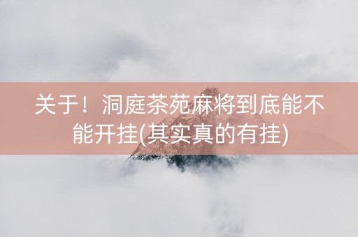 关于！洞庭茶苑麻将到底能不能开挂(其实真的有挂)