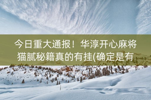 今日重大通报！华淳开心麻将猫腻秘籍真的有挂(确定是有挂)