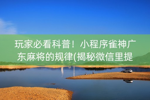 玩家必看科普！小程序雀神广东麻将的规律(揭秘微信里提高赢的概率)