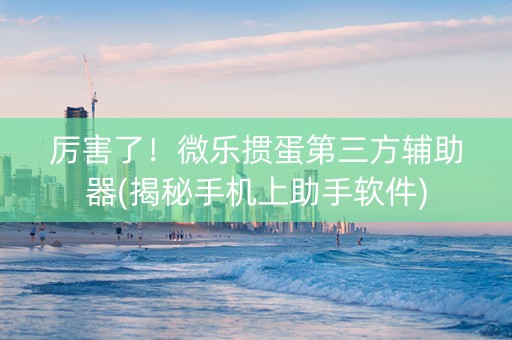 厉害了！微乐掼蛋第三方辅助器(揭秘手机上助手软件)