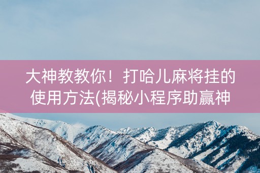 大神教教你！打哈儿麻将挂的使用方法(揭秘小程序助赢神器)