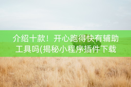 介绍十款！开心跑得快有辅助工具吗(揭秘小程序插件下载)
