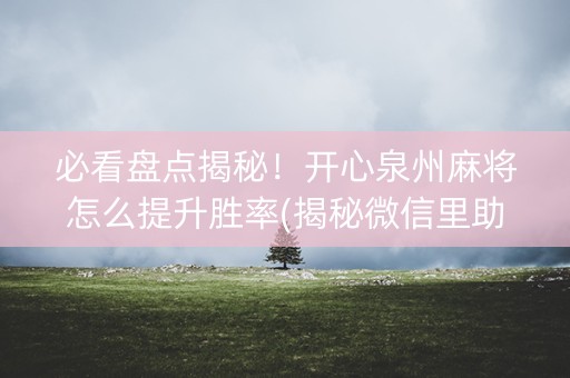 必看盘点揭秘！开心泉州麻将怎么提升胜率(揭秘微信里助攻神器)