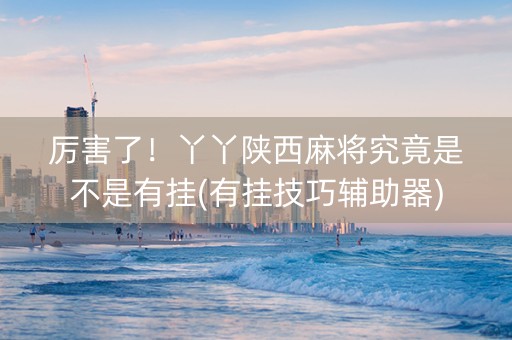 厉害了！丫丫陕西麻将究竟是不是有挂(有挂技巧辅助器)