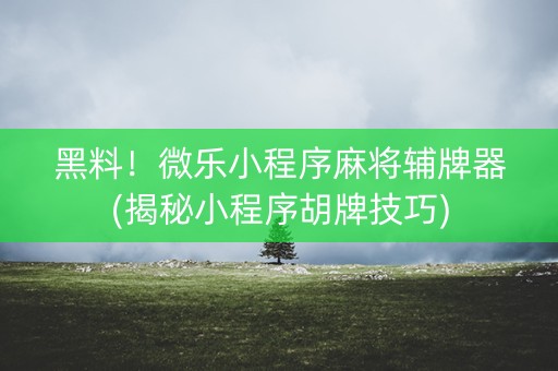 黑料！微乐小程序麻将辅牌器(揭秘小程序胡牌技巧)